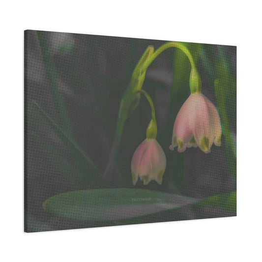 Pink Snowflake Flowers Fine Art Canvas Print By Prettybirde | Little Moon Bird