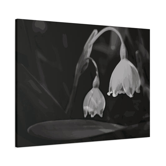 Monochrome Snowflake Flower Fine Art Canvas Print By Prettybirde | Little Moon Bird