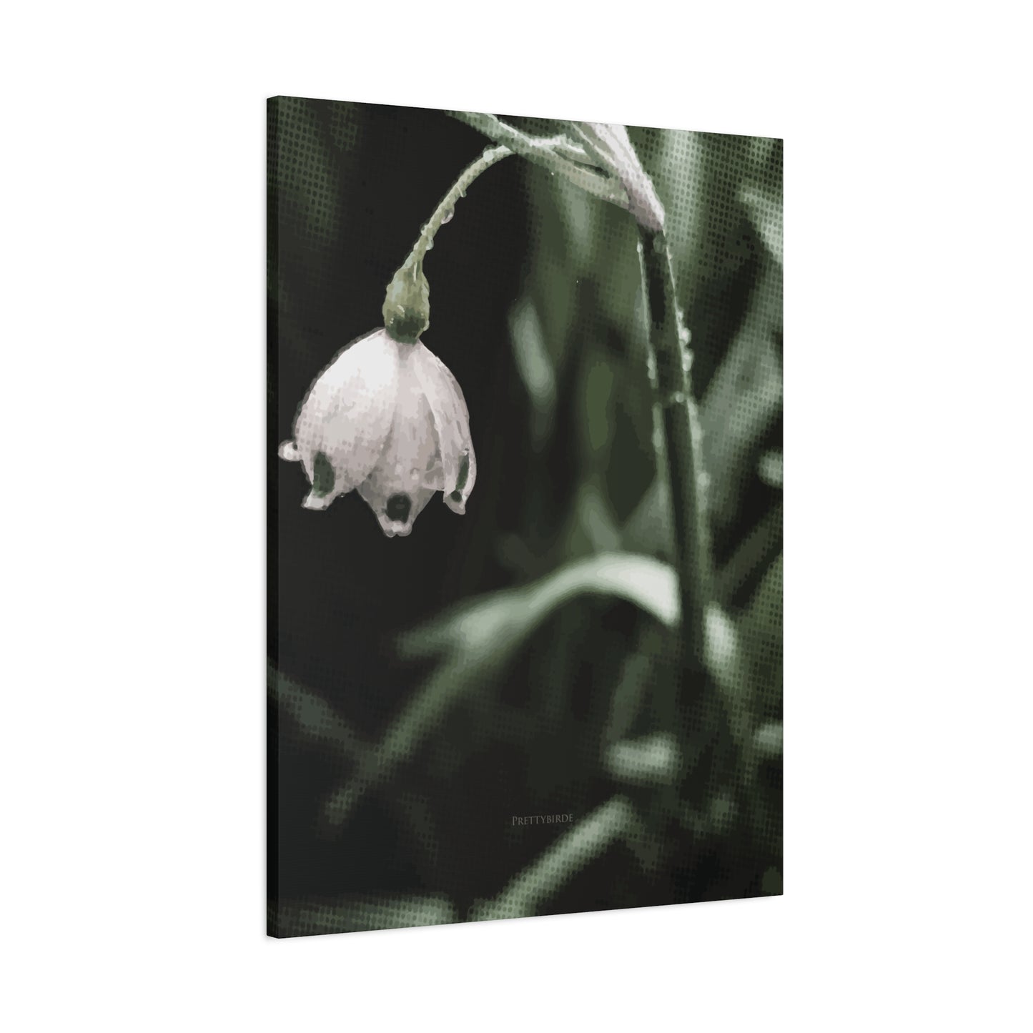 Subtle Snowflake Flower Fine Art Canvas Print By Prettybirde | Little Moon Bird