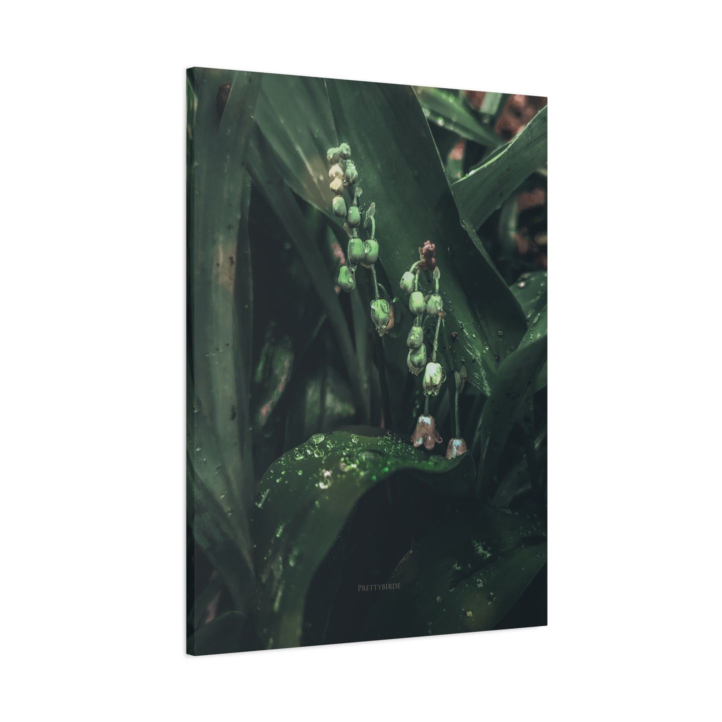 Emerald & Pink Lily-of-the-Valley Photography Canvas Print By Prettybirde | Little Moon Bird