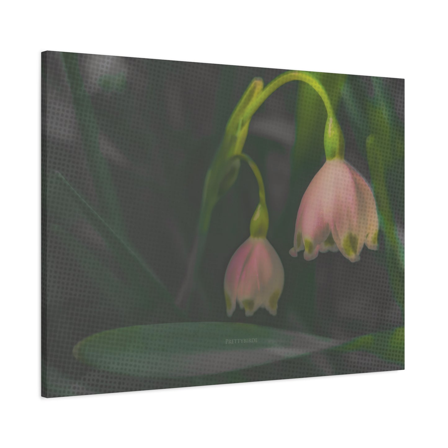Pink Snowflake Flowers Fine Art Canvas Print By Prettybirde | Little Moon Bird