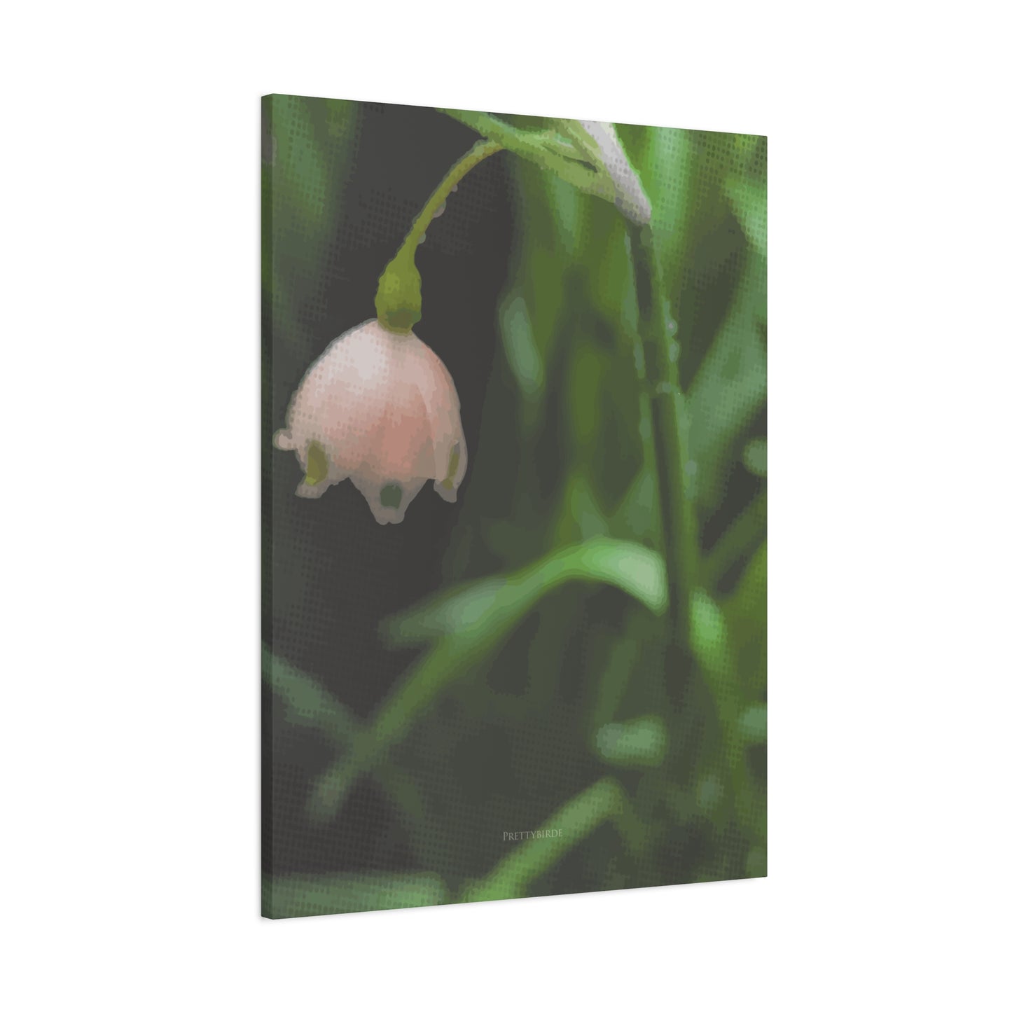 Delicate Pink Snowflake Flower Fine Art Canvas Print By Prettybirde | Little Moon Bird