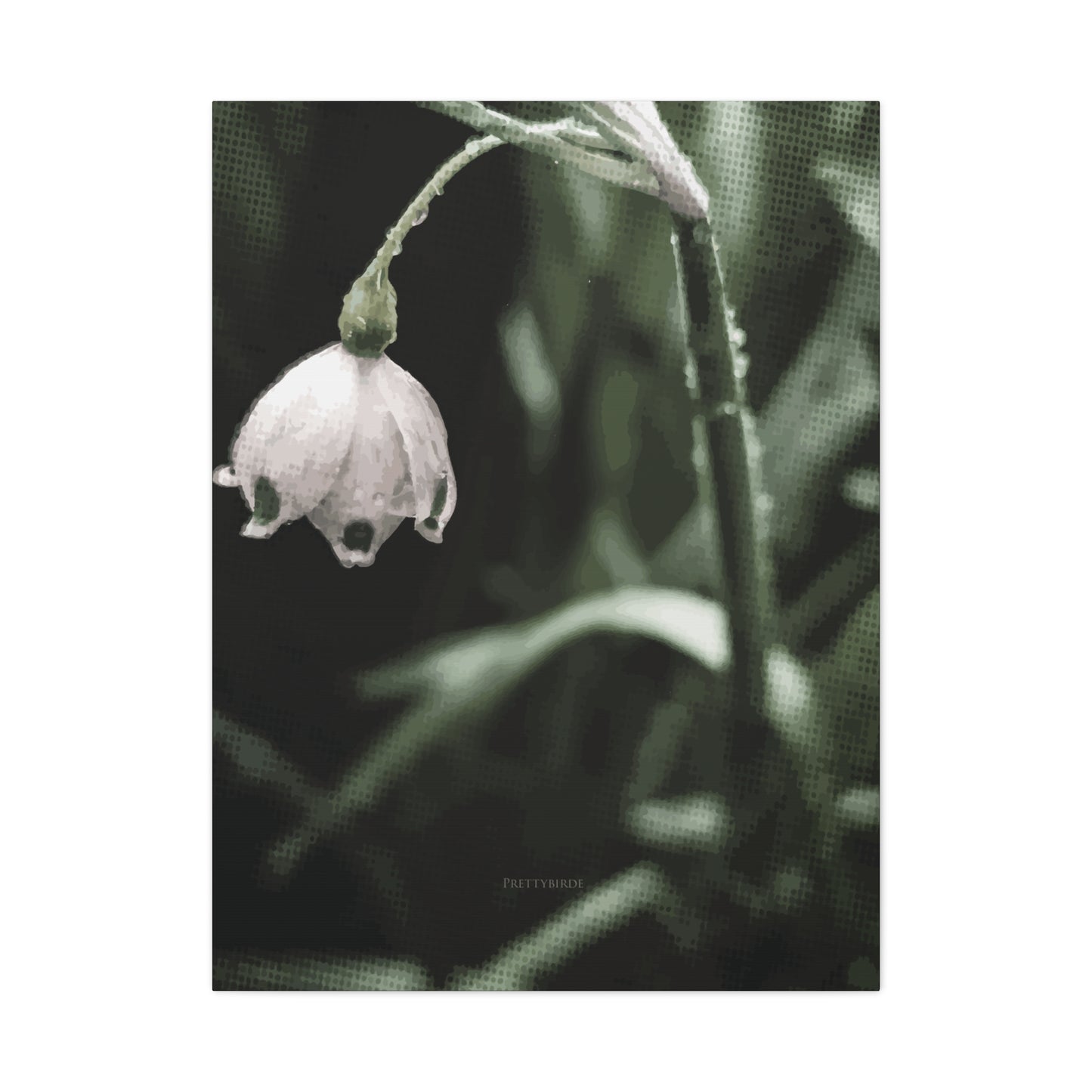 Subtle Snowflake Flower Fine Art Canvas Print By Prettybirde | Little Moon Bird