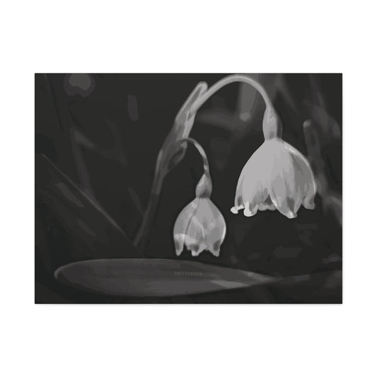 Monochrome Snowflake Flower Fine Art Canvas Print By Prettybirde | Little Moon Bird