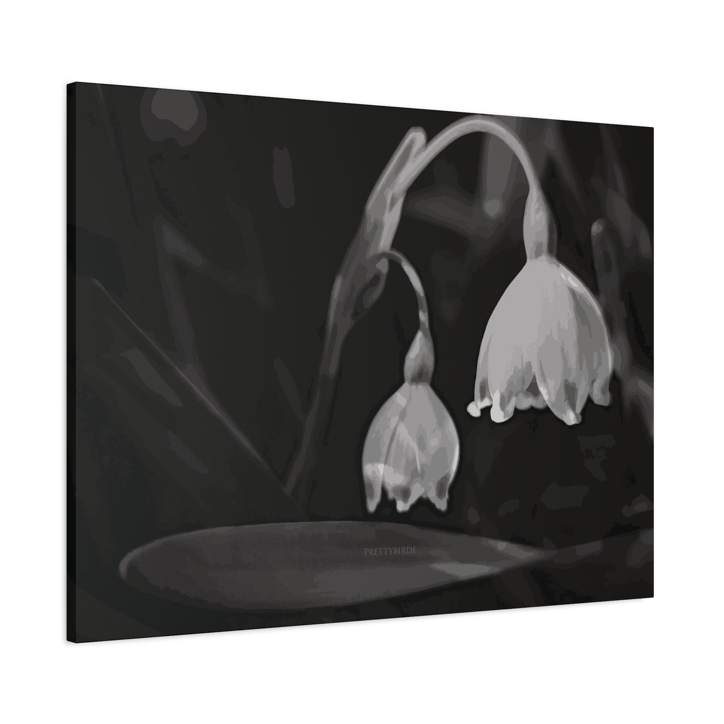 Monochrome Snowflake Flower Fine Art Canvas Print By Prettybirde | Little Moon Bird