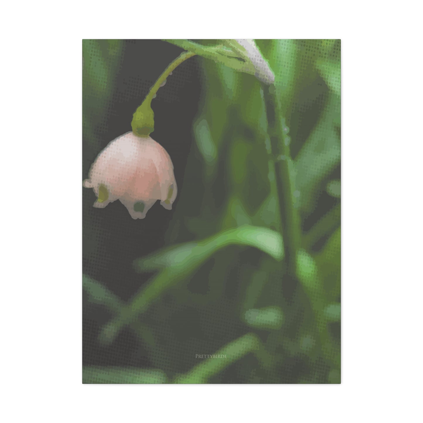 Delicate Pink Snowflake Flower Fine Art Canvas Print By Prettybirde | Little Moon Bird