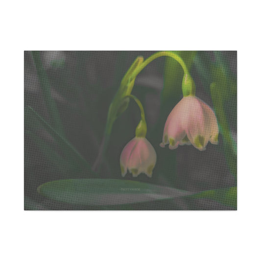 Pink Snowflake Flowers Fine Art Canvas Print By Prettybirde | Little Moon Bird
